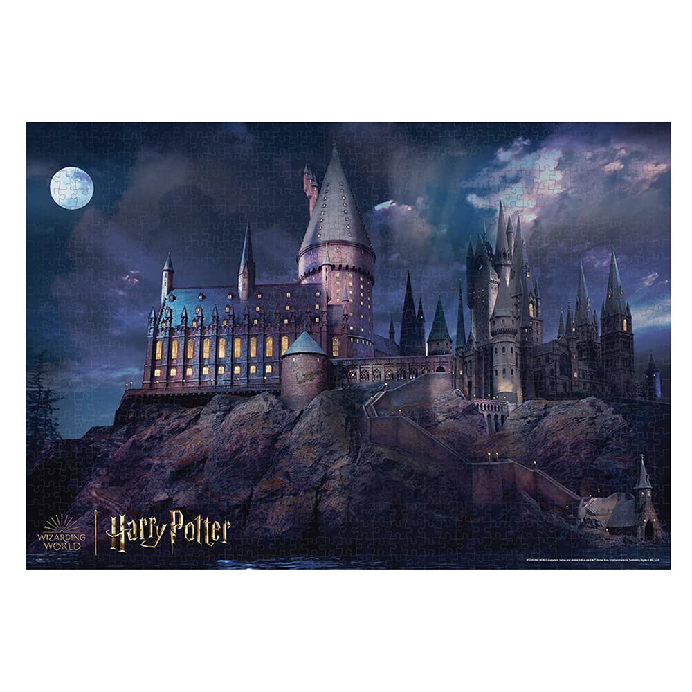 TENYO B1000-821 Jigsaw Puzzle Harry Potter Wizarding World Glow In The Dark 1000 Pieces