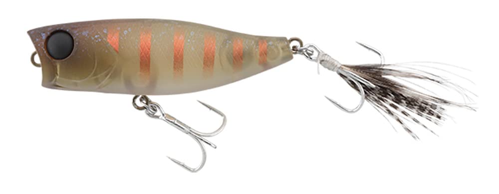 JACKALL Chubby Popper 42 Striped Cricket 42mm Floting Fishing Lure 3.3g NEW