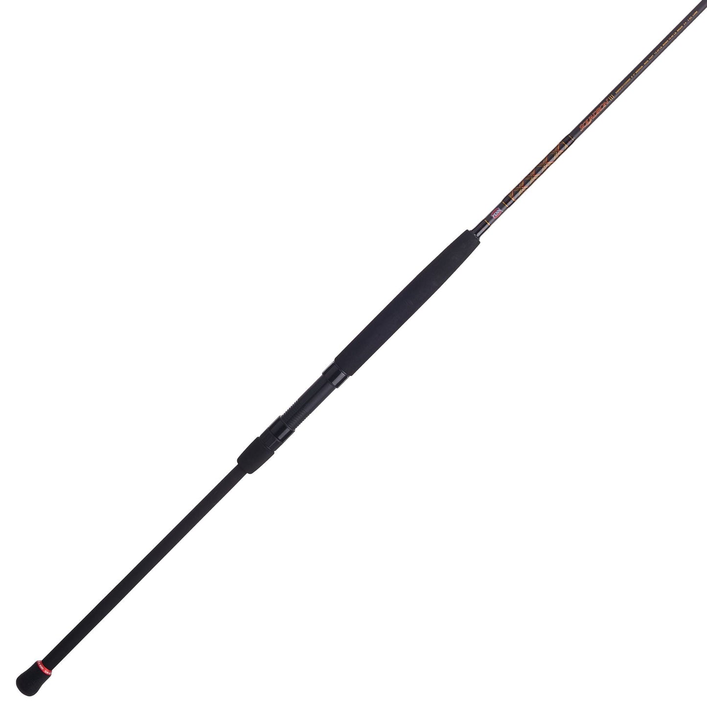 PENN Squadron III 9¡¯. Surf Spinning Fishing Rod; 2 Piece