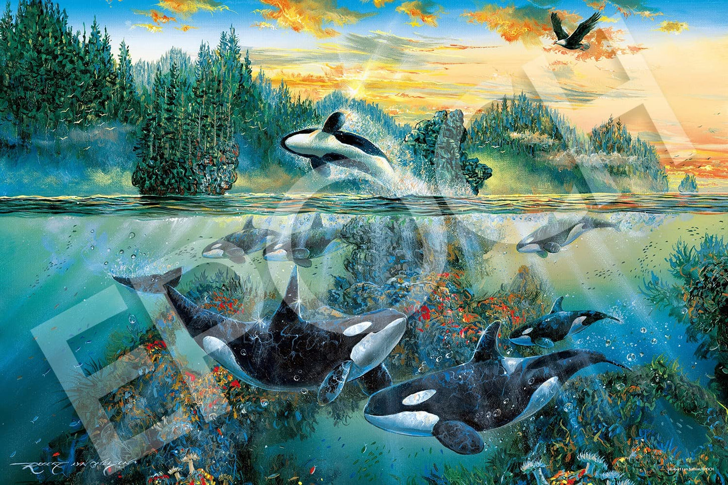 EPOCH 13-041S Jigsaw Puzzle Marine Art Collection Wonderful Orca Family 1000 Pieces Glow In The Dark