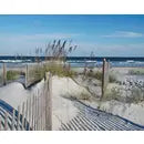 Jigsaw Puzzle, Several Prints