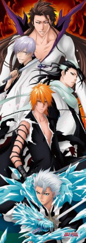 Ensky Bleach Those Who Transcend It 352 Piece Jigsaw Puzzle