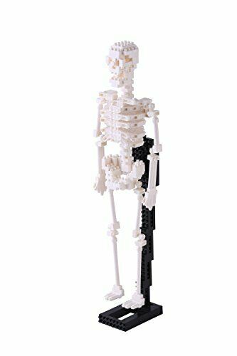 Nanoblock Human Skeleton Nbm014