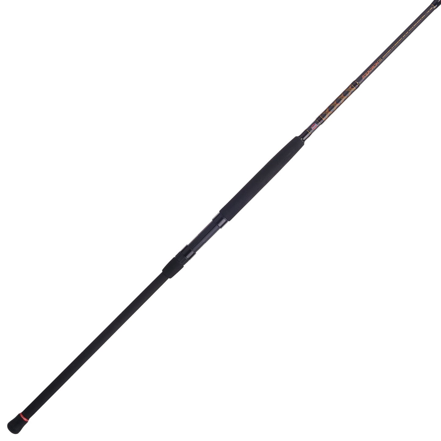PENN Squadron III 10¡¯. Surf Spinning Fishing Rod; 2 Piece